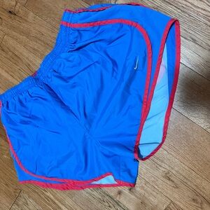 Nike Dri Fit Shorts